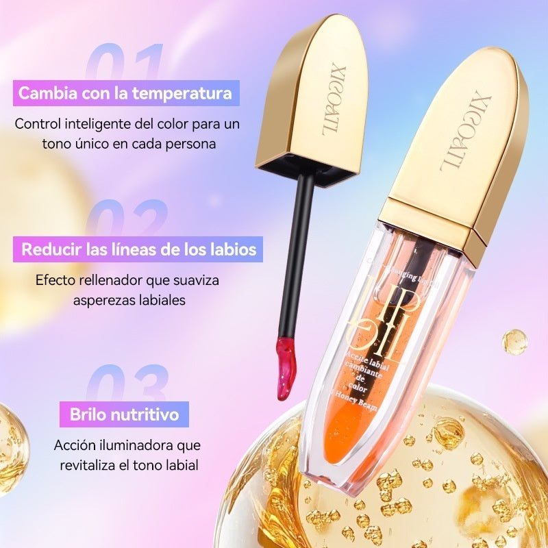 6f5cbc6313e00766c03cbc878d0202d4